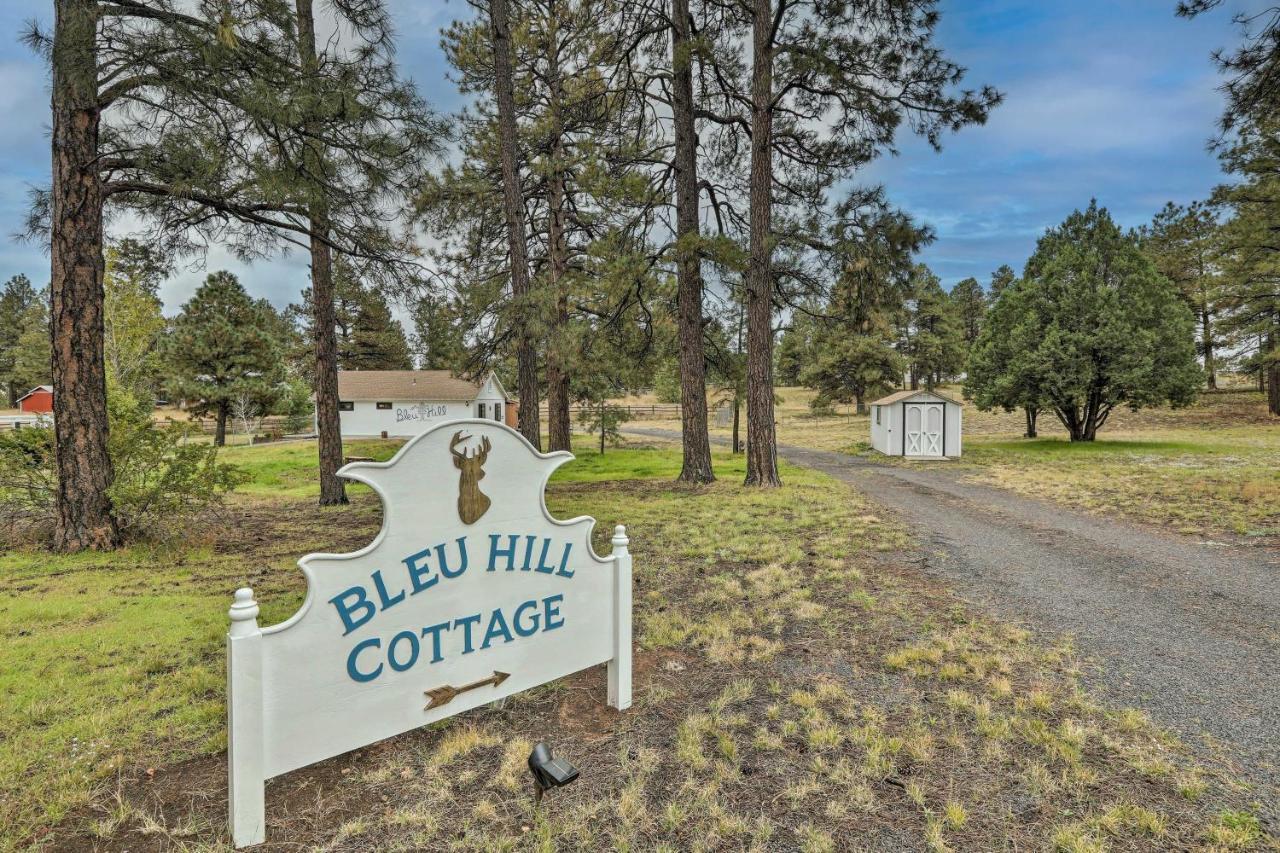 Ski Snow Bowl And Hike Cozy Flagstaff Cottage! エクステリア 写真